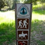 american-thru-hikes-cancelled-for-2020