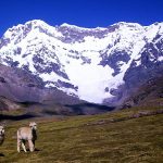 besthike-#4-–-ausangate-circuit,-peru
