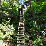 besthike-#1-–-west-coast-trail,-british-columbia