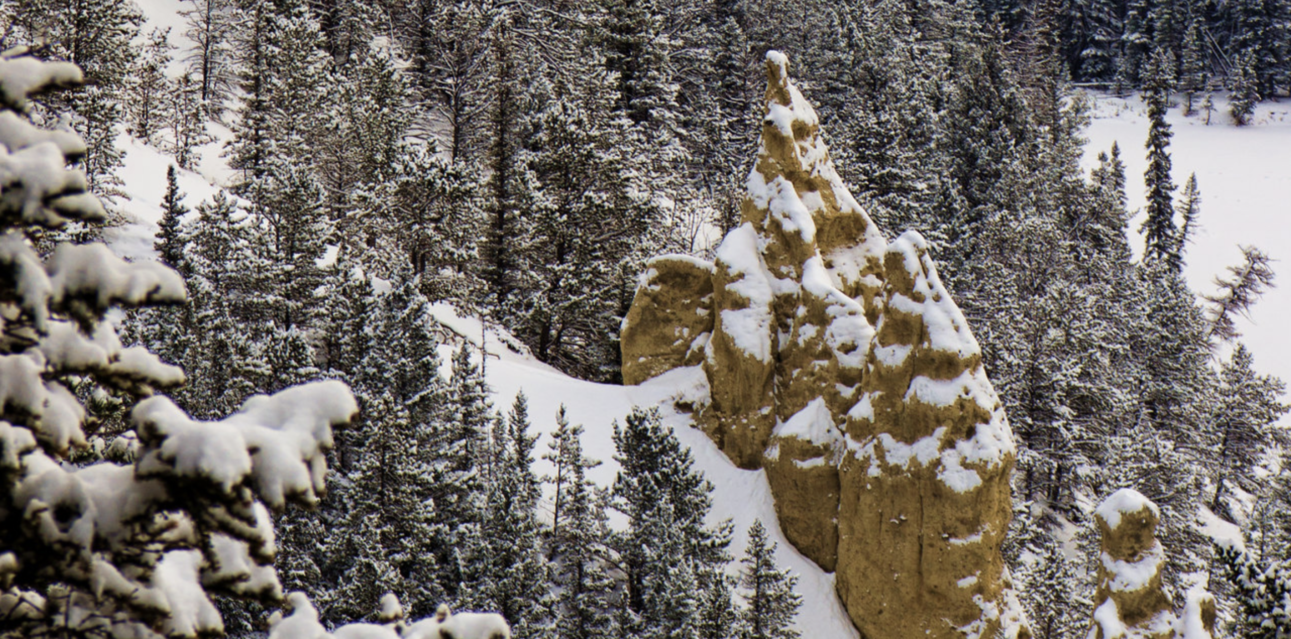 banff-hoodoos-trail-in-winter