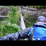crossing-the-river-on-a-fallen-log