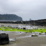 day-4-–-west-coast-trail-2021