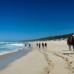 south-africa’s-whale-trail