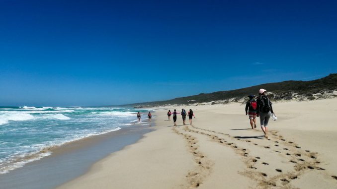 south-africa’s-whale-trail