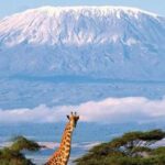 kilimanjaro:-to-the-roof-of-africa
