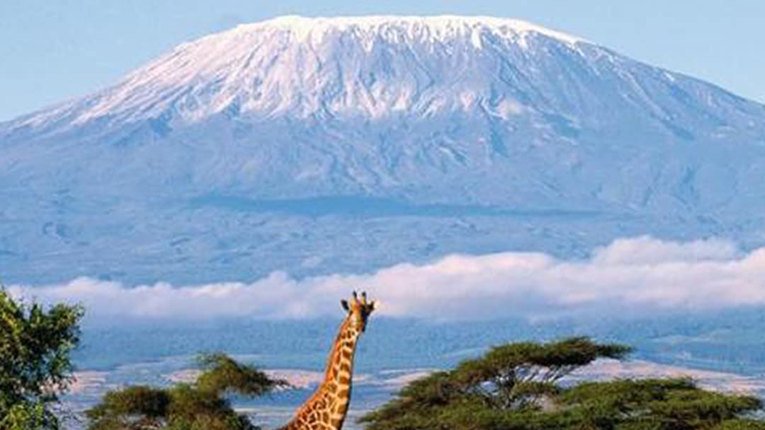 kilimanjaro:-to-the-roof-of-africa