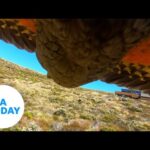 parrot-steals-gopro