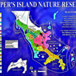 cooper’s-island,-bermuda