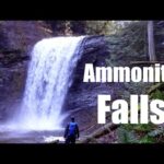 ammonite-falls-the-hard-way-