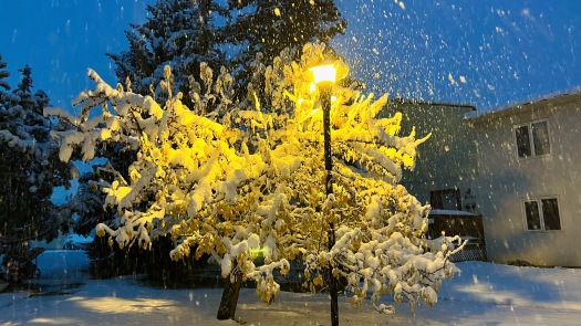 walking-first-snow-of-the-year