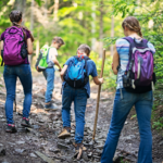 Family hiking in the forest