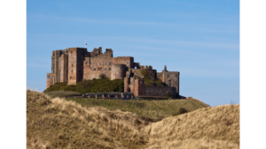 Grass and Dunes at Bamburgh Castle