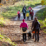 Group of hikers on a hiking trail
