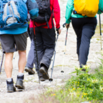 Hikers walking on hiking trail