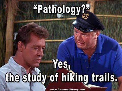 pathology-…-the-study-of-hiking-trails?-????