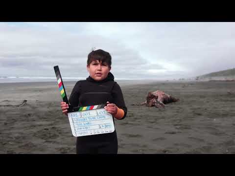 banff-mountain-film-festival-world-tour-2024