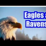 eagles-and-ravens-–-vancouver-island