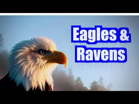 eagles-and-ravens-–-vancouver-island