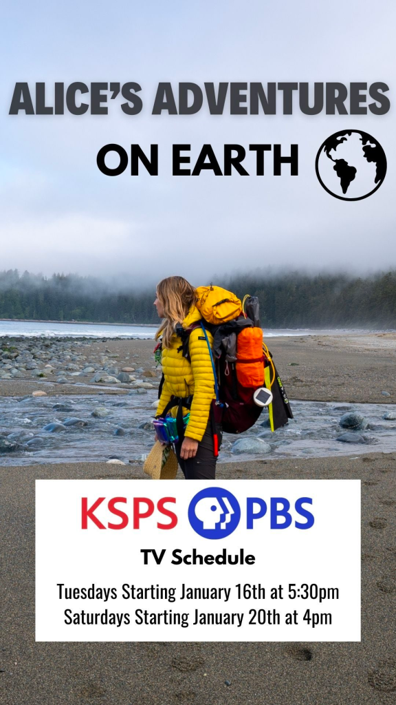 alice’s-adventures-on-earth
