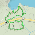 hiking-cathedral-grove,-vancouver-island