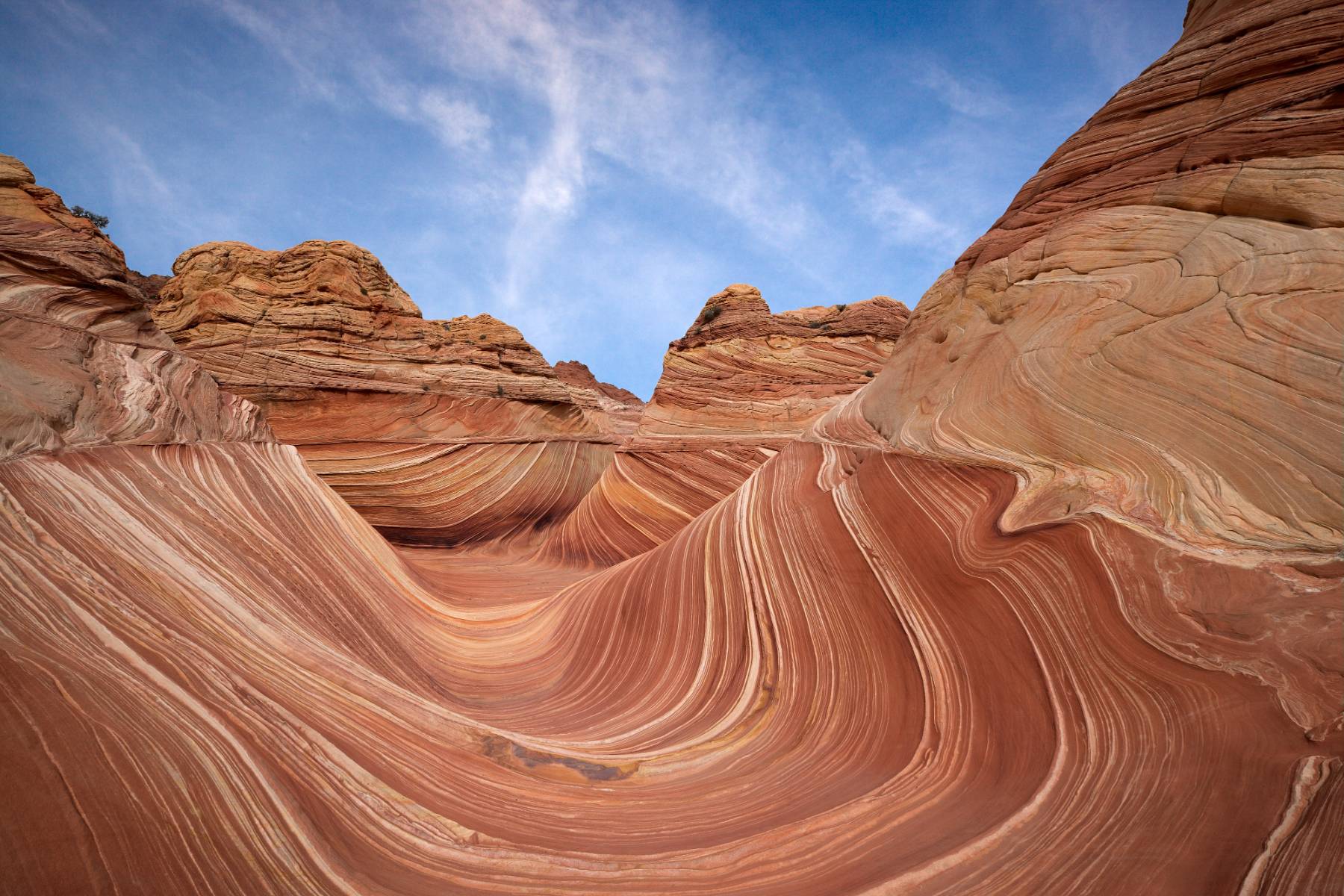 top-10-day-hikes-➙-the-wave,-arizona-usa