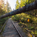 wesley-ridge,-vancouver-island
