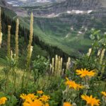 top-10-hikes-➙-glacier-north-circle,-montana,-usa