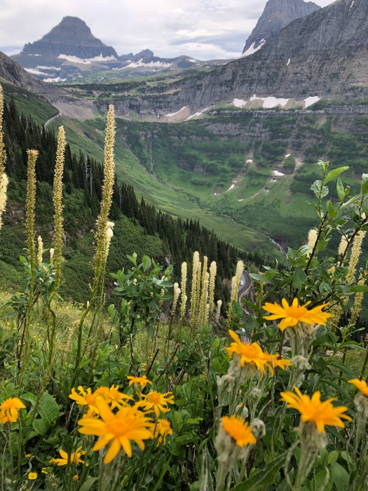 top-10-hikes-➙-glacier-north-circle,-montana,-usa