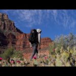 hiking-the-grand-canyon