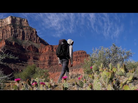 hiking-the-grand-canyon