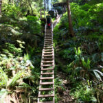 top-10-hikes-➙-west-coast-trail,-bc,-canada