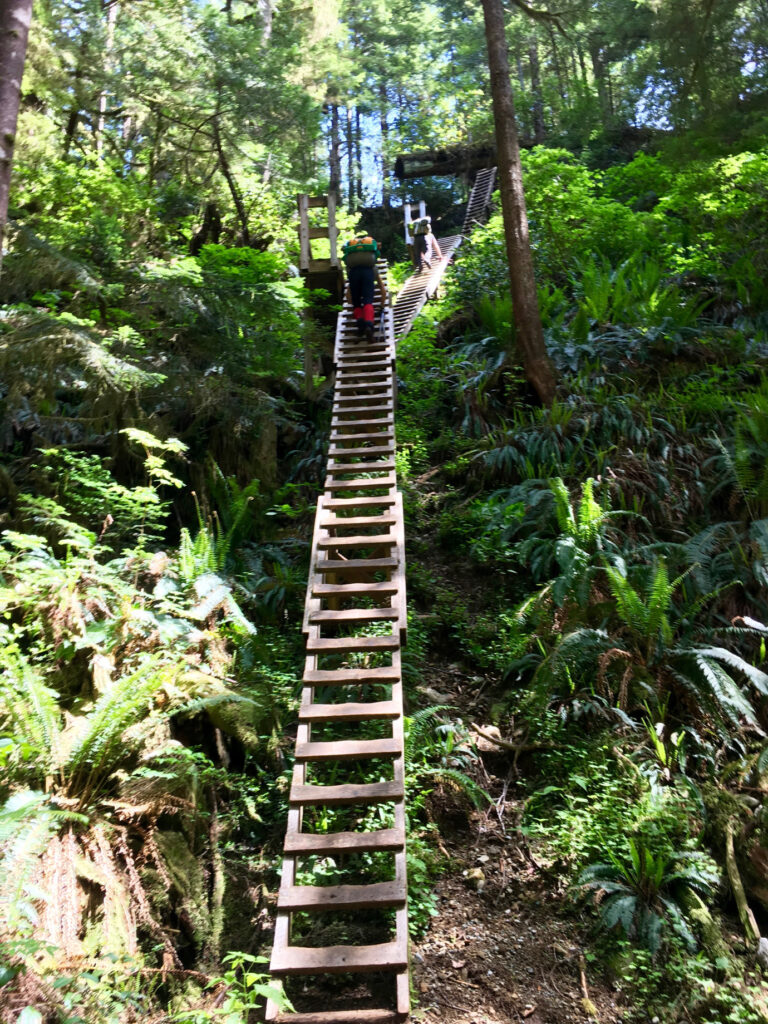 TOP 10 hikes West Coast Trail, BC, Canada - Hikerstore