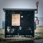 cycling-/-hiking-the-faroe-islands
