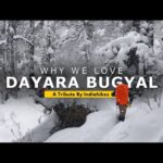 dayara-bugyal-trek,-india