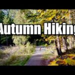 autumn-hiking,-vancouver-island