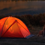 respectful-bear-waits-until-couple-finishes-fighting-