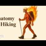 how-hiking-transforms-your-body