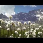 gran-paradiso-national-park,-italy