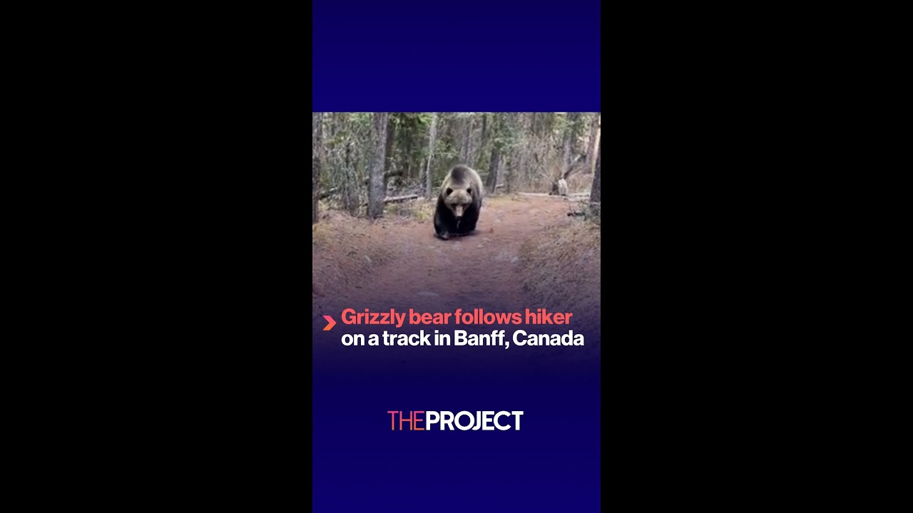 1758782484 maxresdefault.jpg