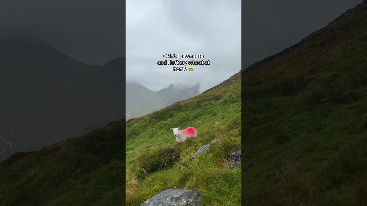 1760354988 maxresdefault.jpg