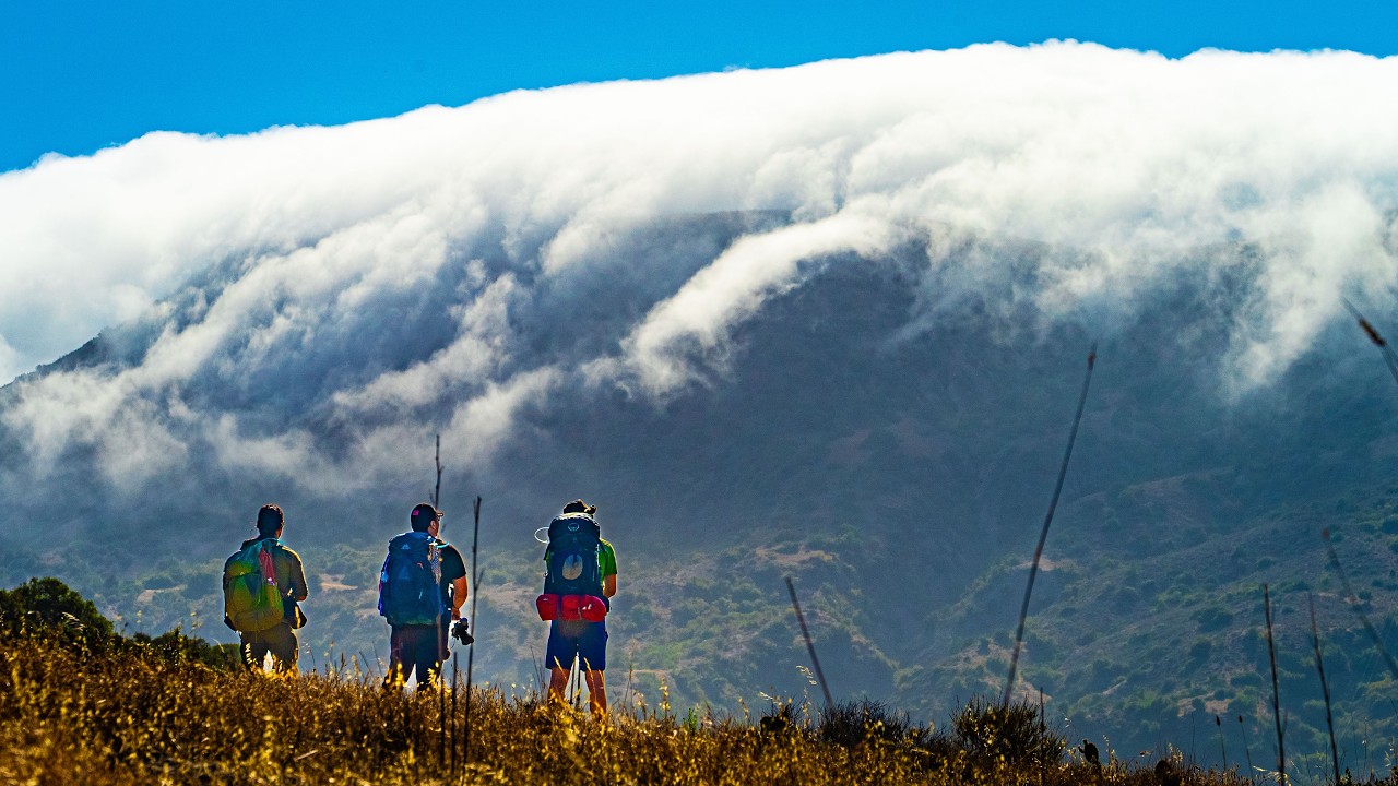 1761455247 maxresdefault.jpg