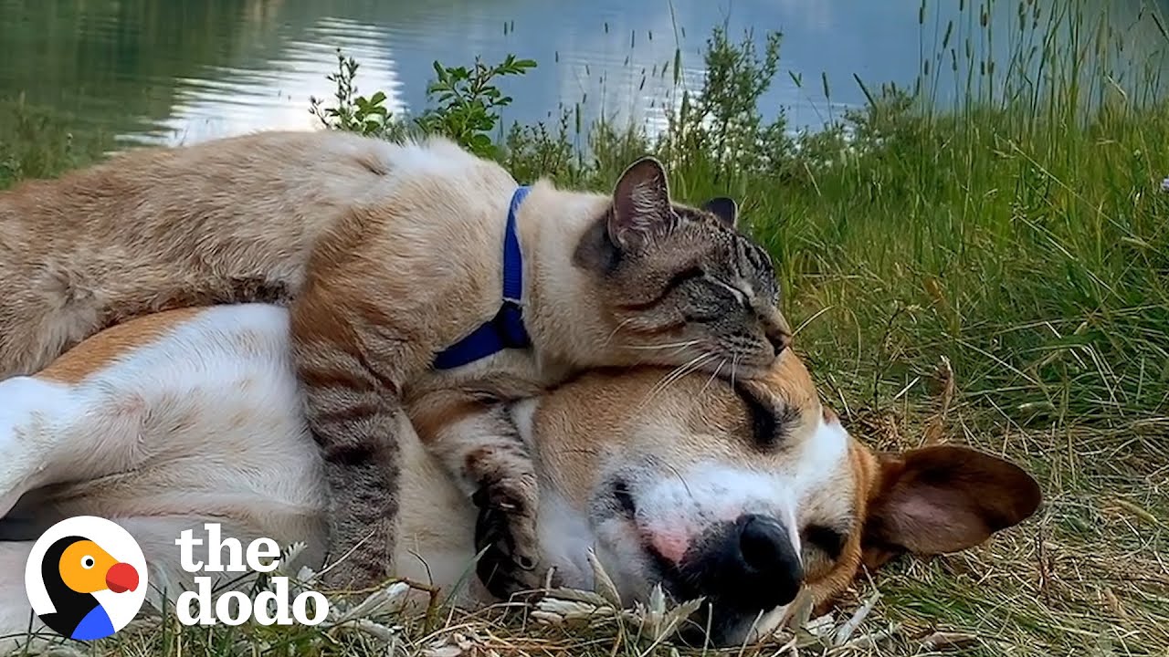 1761707693 maxresdefault.jpg