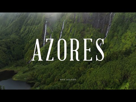 1762879445 hqdefault.jpg