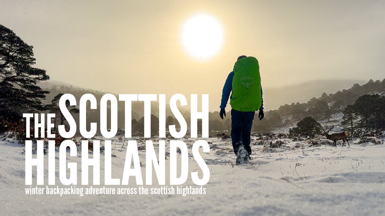 1769312674 maxresdefault.jpg