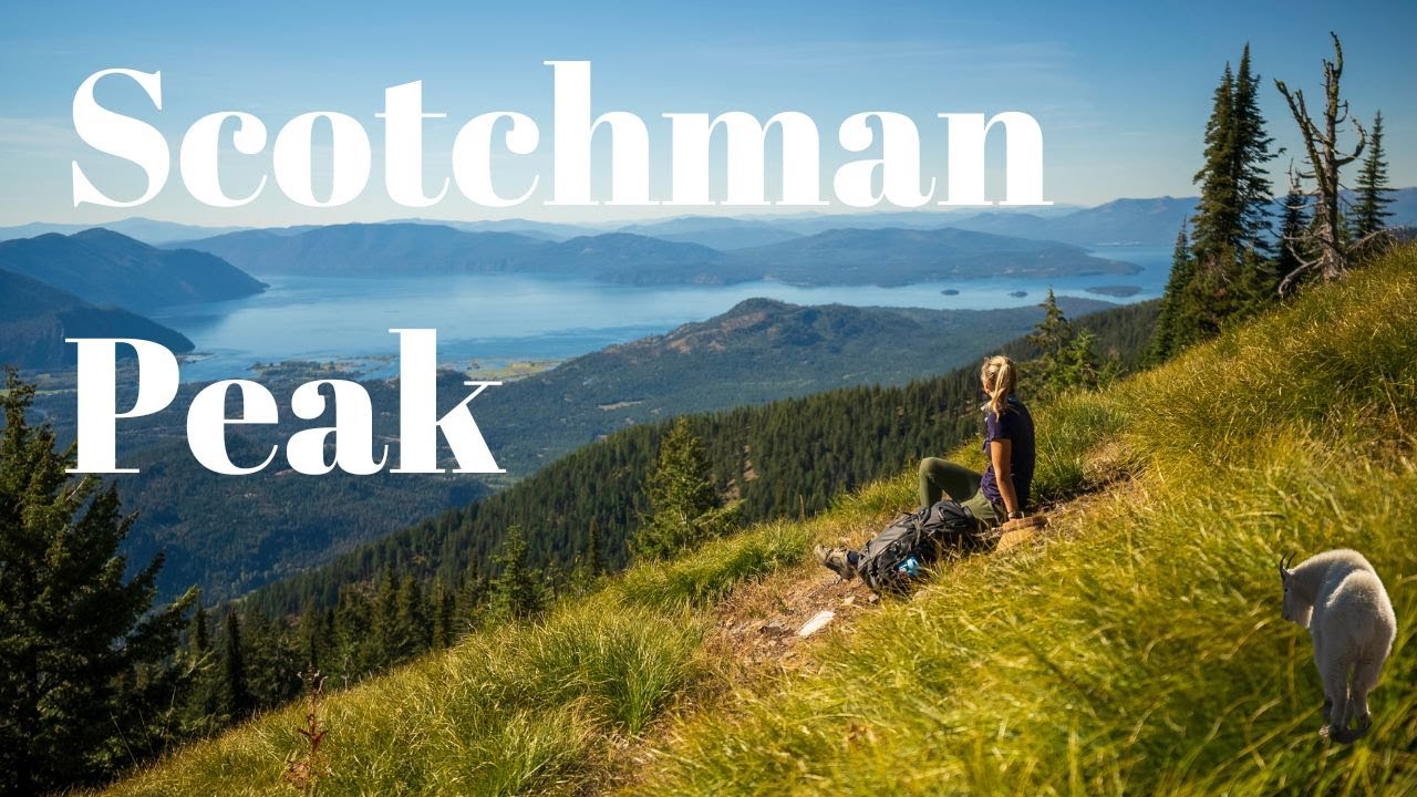 1771596855 maxresdefault.jpg