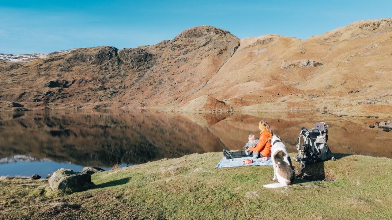 1771641847 maxresdefault.jpg