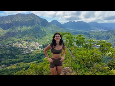 1772086453 hqdefault.jpg