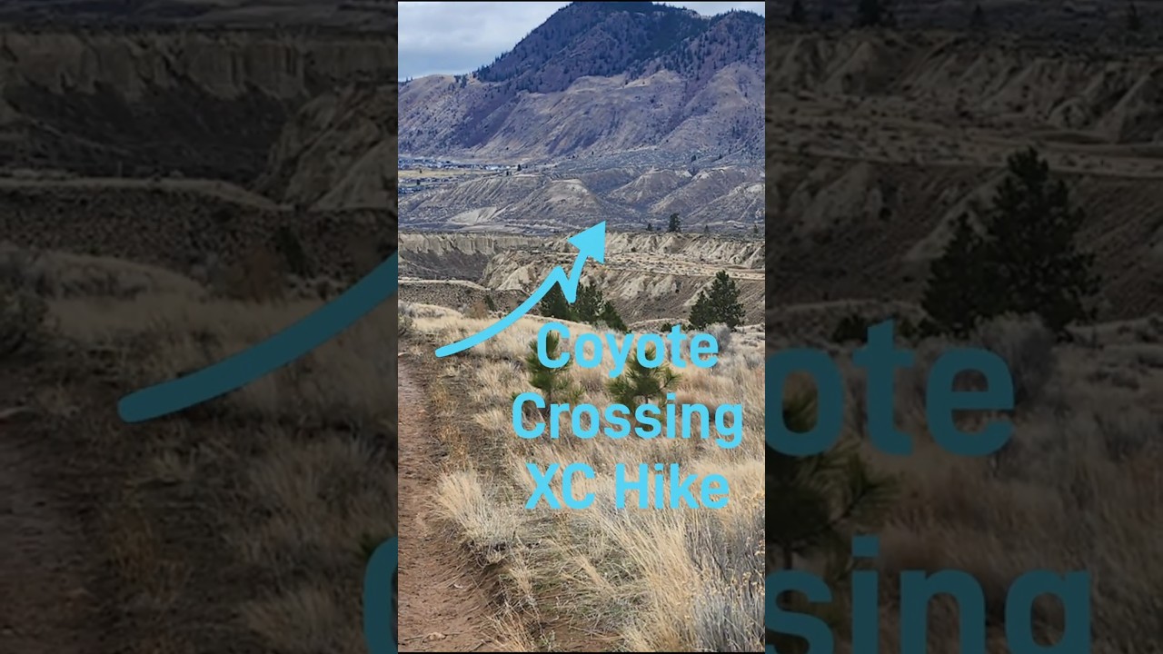 1772831660 maxresdefault.jpg