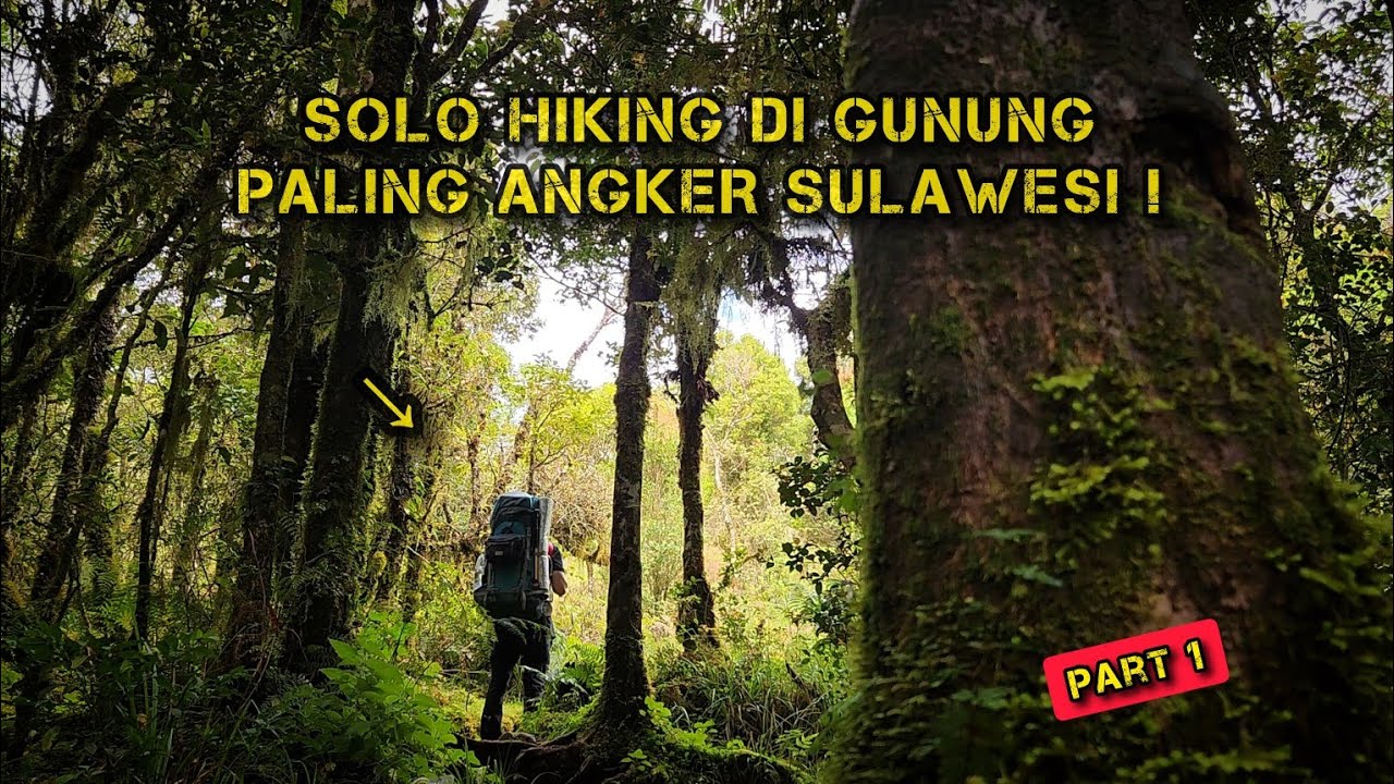 1773339250 maxresdefault.jpg