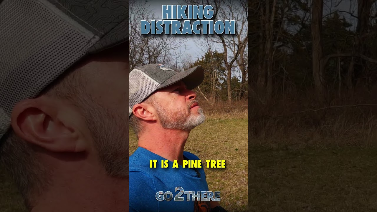 1775260809 maxresdefault.jpg